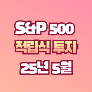 S&P500 적립식 투자